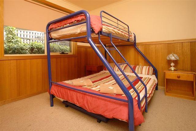 Apollo Bay Backpackers Lodge الغرفة الصورة